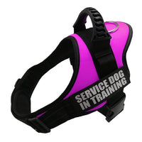 Explosion-proof Chest Harness Pet Leash