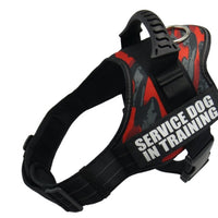 Explosion-proof Chest Harness Pet Leash